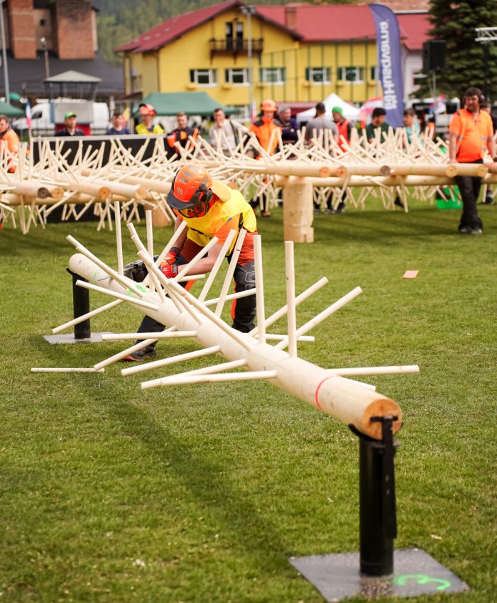 European Student Championship in Forestry Skills 2024 (Romania)